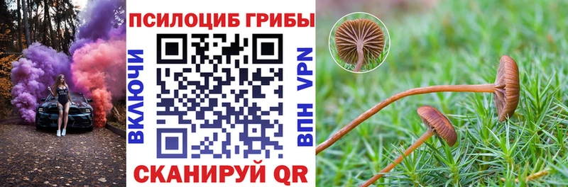 Псилоцибиновые грибы мухоморы сколько стоит Орлов